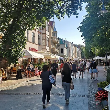 דירה Lux Oliwa Park Przymorze Blisko Plaza Jelitkowo I Sopot
