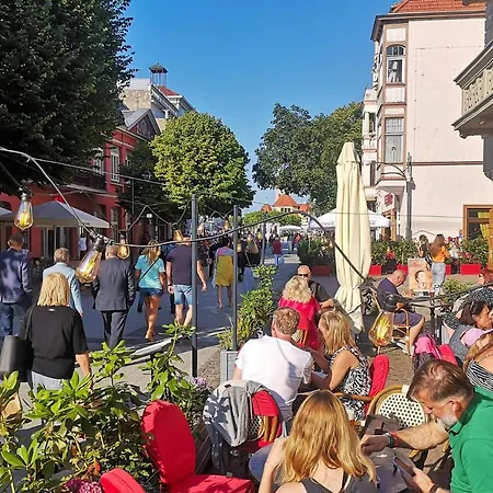 Lux Oliwa Park Przymorze Blisko Plaza Jelitkowo I Sopot דירה גדנסק
